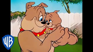 Tom y Jerry en Español | Spike, Padre del Año