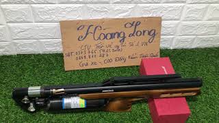 Pcp hoàng long (miền bắc) condor u và condor u talon hàng đẹp long lanh giá sinh viên