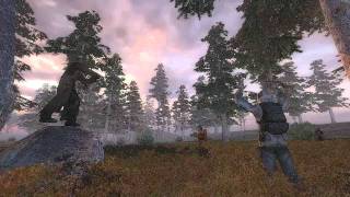 Stalker «The best script ever» [Test]