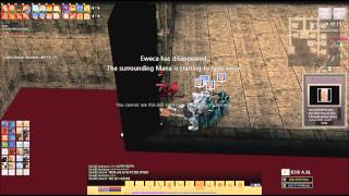 Mabinogi - Training Shield & Armor Mastery