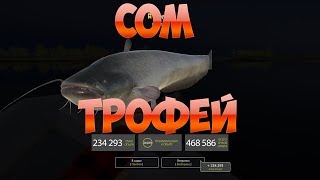 Русская Рыбалка 4: Очередной трофейный сом