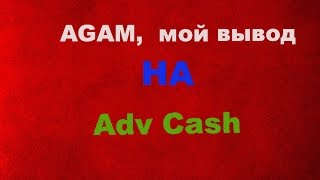 Questra World работает и платит.  Вывод на Adv Cash