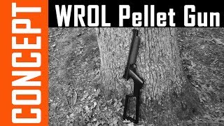 Pellet Guns in WROL/SHTF