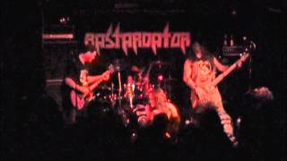 Bastardator - Bastards of Mayhem