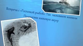 Тур Хейердал «Путешествие на Кон -- Тики»