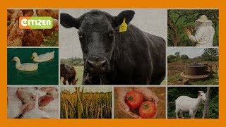 | SMART FARM | Focus on Integrated farming in Homa Bay county