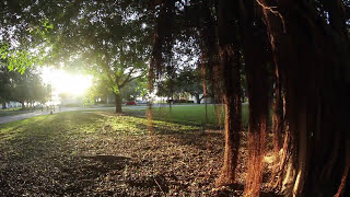 New College of Florida