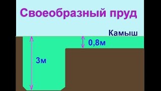 ловили Карпа в камышах на поплавочную удочку с дальним забросом. Насадка кукуруза. рыбалка