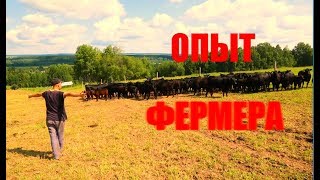 Личный опыт фермера. Животноводческая ферма: особенности организвции.