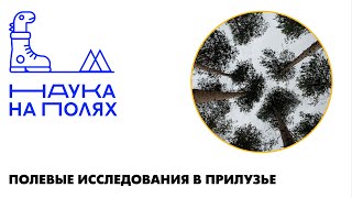 Полевые исследования в Прилузье| Дарья Кузнецова