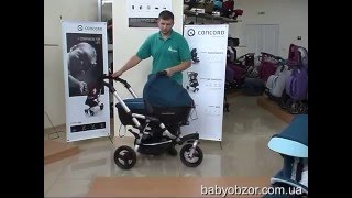 Универсальная коляска 3 в 1 Jane Slalom pro Reverse Formula Strara