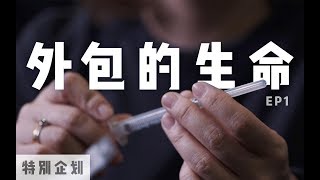 代孕纪录片《外包的生命》EP1_精子/卵子