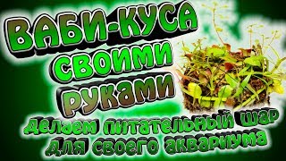 Ваби-куса. Рост растений обеспечен. Делаем своим руками.