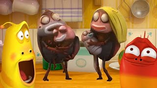 LARVA - LA NUEVA FAMILIA DE MARRÓN | Dibujos animados para niños | Oficial LARVA | WildBrain