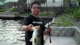 Spawn Bass Fishing with Plastic Worms (Senko) - Lloyd Gomez - Urban Angling - Bass Brigade