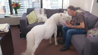 Web Extra: Jon Stewart: Animal Masseuse | Full Frontal with Samantha Bee | TBS