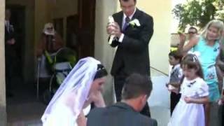 Svatební holubi / Wedding doves