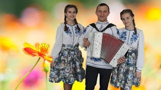Звездочка ? Красивая песня о ЛЮБВИ под гармонь╰❥ Russian folk song