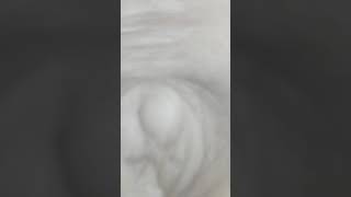 Belly button play