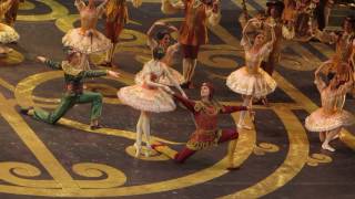 Anna Nikulina - The Sleeping Beauty - Rose Adagio