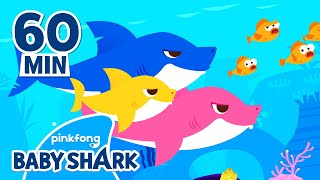 Baby Shark Doo Doo Doo 60 Min | +Compilation | Baby Shark Remix 