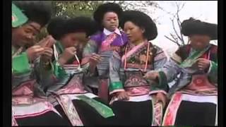 Side Comb Hmong 歪梳苗 and White Hmong 白苗
