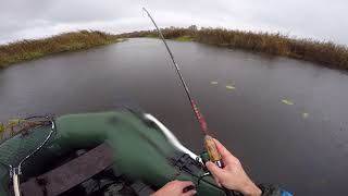 Ловля щуки на спиннинг осенью. Дитва. Крамской. Орбит 110. Megabass fx9. Беларусь. С лодки