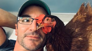 This man was lost after his dog died. Then a chick came into his life.