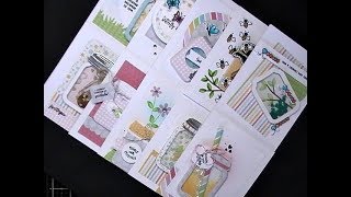 Queen & Co. /  10 Cards - 1 Kit / Love Jar Kit & Bug Jar / Part 1
