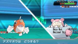 マイナーポケで頑張れる境界線がこれ;;【ポケモンORAS】