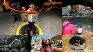 The Scientific Center: IMAX, Kuwait Aquarium, The Discovery Place | Living in Kuwait