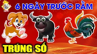 3 CON GIÁP 6 NGÀY TRƯỚC RẰM T1 GẶP THỜI CẢI VẬN, THOÁT CƠN BĨ CỰC, TIỀN VỀ XỐI XẢ, GIÀU CÓ NHẤT VÙNG