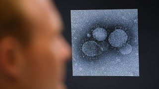 Coronavirus continues its spread in Australia