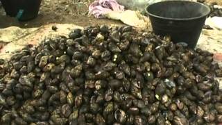 Muea market