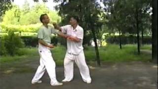 liu jingru snake form, damang fanshen