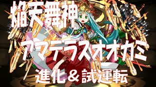 パズドラ　焔天舞神アマテラスオオカミ分岐究極進化＆試運転