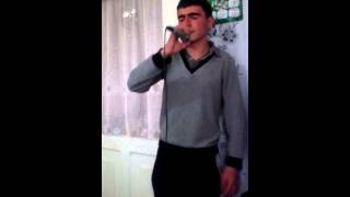 NORIK - TARINER 2015