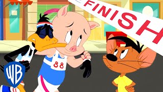 Looney Tunes en Español ???????? | El Pato Lucas y Porky corren una maratón