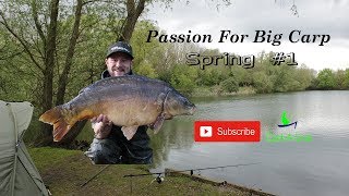 Passion For Big Carp Fenlands Willow Spring #1