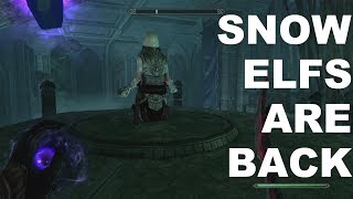 SNOW ELVES IN SKYRIM! - Hidden Snow Elf Temple (Skyrim Mods)