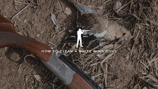 How To Clean A Dove