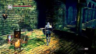 Let's Play! Dark Souls Prepare to Die Edition - Part 11 - Vagina Dragon