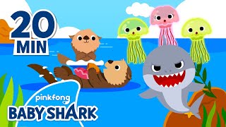 Play with Baby Shark & Sea Animals! | + Compilation | Best Sea Animal Songs 
