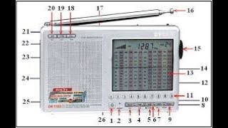 Degen 1103 с DSP.