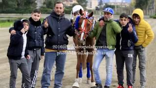 Minitrotter Cat. Super Centro - Premio San Silvestro.