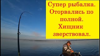 Супер оторвались на хищнике. Открытие троллинга на моторе.  Отдых по полной!