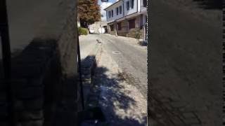 Ohrid Amfi Tiyatrosu ve Şirin Sokaklar...