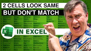 Two Excel Cells Look The Same Why Don't They Match - 2511