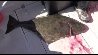 Halibut fishing Ловля Палтуса