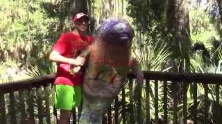 (67) Мои любимые друзья приехали)) Blue Springs park.. Америка.